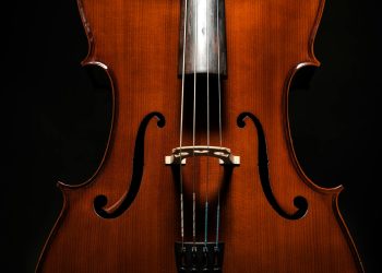 Trei bărbați anchetați în dosarul violului de la evenimentul AUR