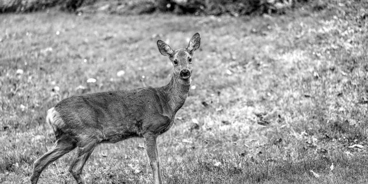 Fondul suveran norvegian, în scădere în prima parte a anului, din cauza războiului din Orientul Mijlociu