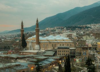 Senator PNL: guvernul nu vinde companii de stat, se propune listarea pachetelor minoritare