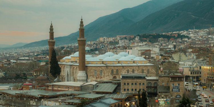 Senator PNL: guvernul nu vinde companii de stat, se propune listarea pachetelor minoritare