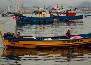 Oceanele aproape de temperaturi record, semn pentru El Niño în revenire