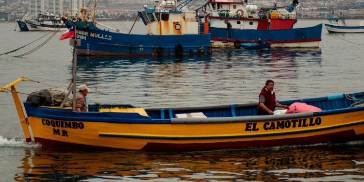 Oceanele aproape de temperaturi record, semn pentru El Niño în revenire
