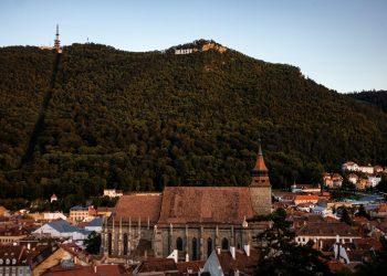 Brașov: Doi bărbați reținuți pentru braconaj după ce au împușcat un urs cu armă termoviziune fără autorizație