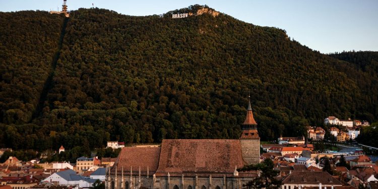 Brașov: Doi bărbați reținuți pentru braconaj după ce au împușcat un urs cu armă termoviziune fără autorizație