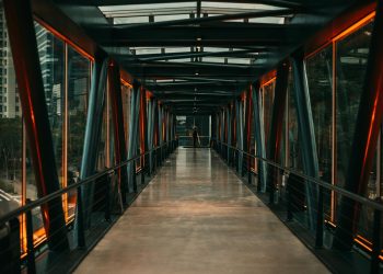 Antreprenor român transformă o afacere de familie în producție globală: de la grajd la fabrici în SUA și Brazilia