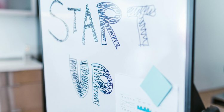 România artistică? Startup-urile de tehnologie cer mai multe comenzi din partea statului la nivel de Cotroceni