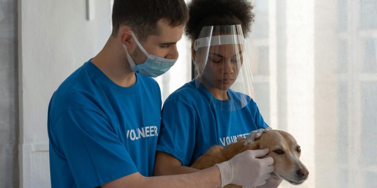 UE adoptă norme pentru protecția câinilor și pisicilor față de abuzuri