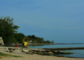 Coaliția pro-rusă a lui Radev conduce în exit-polls în Bulgaria