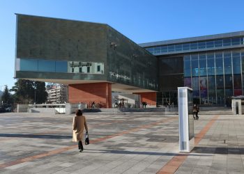Disident susține demisionarul Ministerului Culturii în eseu dur, criticând atacuri la inteligență