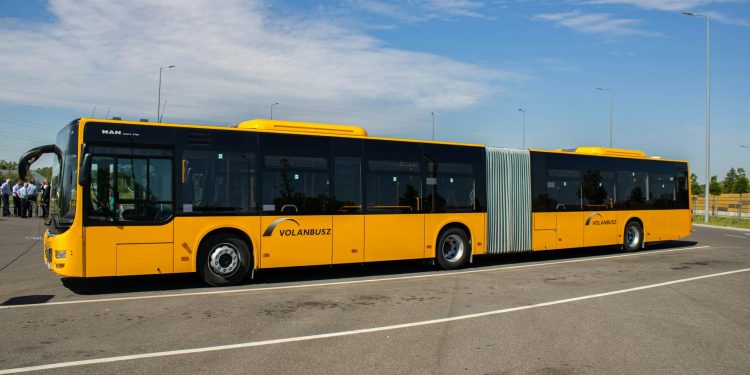 Ciucu: dacă se majorează biletele STB, înainte să se facă, să se reducă costurile Operaționale