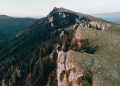 Lepas ajunge în România prin importator din Transilvania, lansare în Târgu Mureș