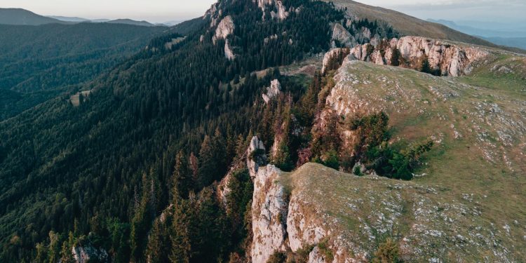 Lepas ajunge în România prin importator din Transilvania, lansare în Târgu Mureș
