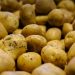 Descoperire genetică unică: urmașii incașilor au adaptări speciale la cartof