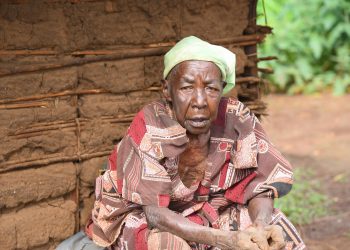 OMS declară focarul Ebola din Congo și Uganda ca urgență de sănătate globală