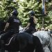 Predoiu își apără purtătorul de cuvânt într-un conflict after Recorder: un „om cu suflet de aur”