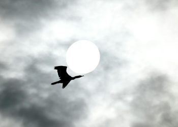Spania se pregătește pentru eclipsa totală de Soare din 2026