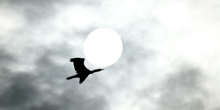 Spania se pregătește pentru eclipsa totală de Soare din 2026