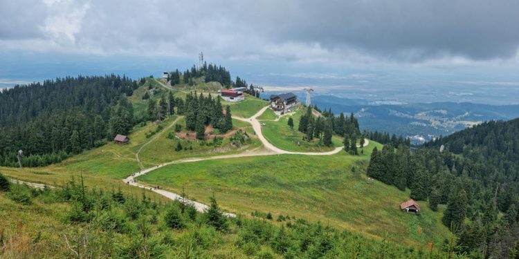 Urs în Poiana Brașov, hotel în alertă: detașamentul nu ar fi intervenit la 112