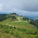 Urs în Poiana Brașov, hotel în alertă: detașamentul nu ar fi intervenit la 112