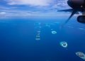Trupuri ale doi turiști italieni recuperate din peștera rechinilor din Maldive