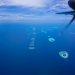 Trupuri ale doi turiști italieni recuperate din peștera rechinilor din Maldive