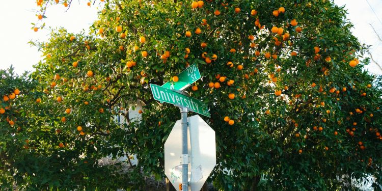 Guvernatorul Californiei decretă urgență din cauza riscului de explozie la un rezervor chimic în Orange