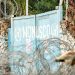 Focar Ebola în Congo: 65 de decese și 246 de cazuri suspecte în Ituri
