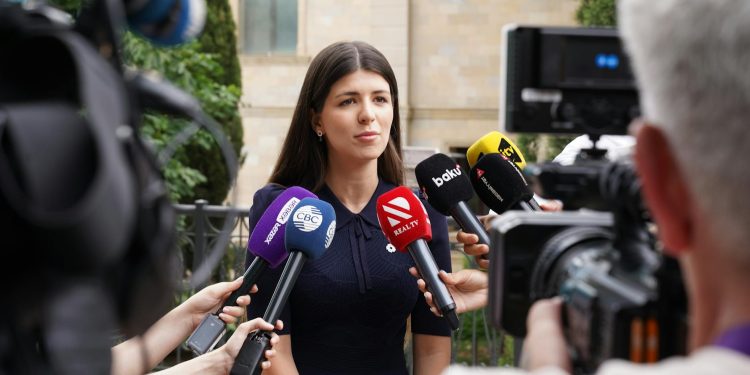PSD acuză facilitare de interese externe în cazul Oana Gheorghiu