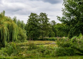 Sir David Attenborough împlinește 100 de ani; reformator al perspectivei asupra naturii
