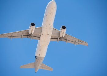 România trimite 4.000 oi în Algeria cu avionul, transport în două ore și jumătate