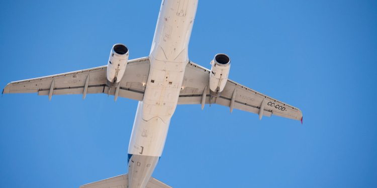 România trimite 4.000 oi în Algeria cu avionul, transport în două ore și jumătate