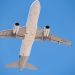 România trimite 4.000 oi în Algeria cu avionul, transport în două ore și jumătate