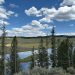 Dutton Ranch: cuplul emblematic din Yellowstone pregătește spin-offul mult așteptat