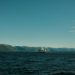 Tudor Giurgiu cere implicarea Guvernului în promovarea filmului Fjord la Oscar