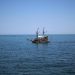 ARSVOM intervine în Portul Constanța pentru trei marinari egipteni în nevoie de îngrijire