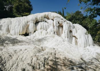 Danemarca va face autopsia balenei Timmy găsite moarte în Marea Nordului