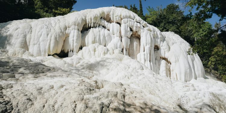 Danemarca va face autopsia balenei Timmy găsite moarte în Marea Nordului