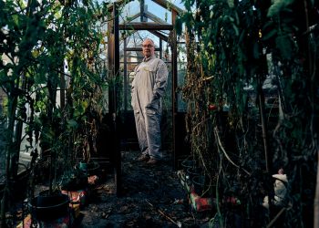Attenborough, inspirație în documentare: formatul actual pornește de la un șablon vechi