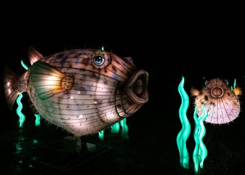 Creaturi oceanice dezvoltă mecanisme surprinzătoare pentru a rezista perioade lungi fără hrană