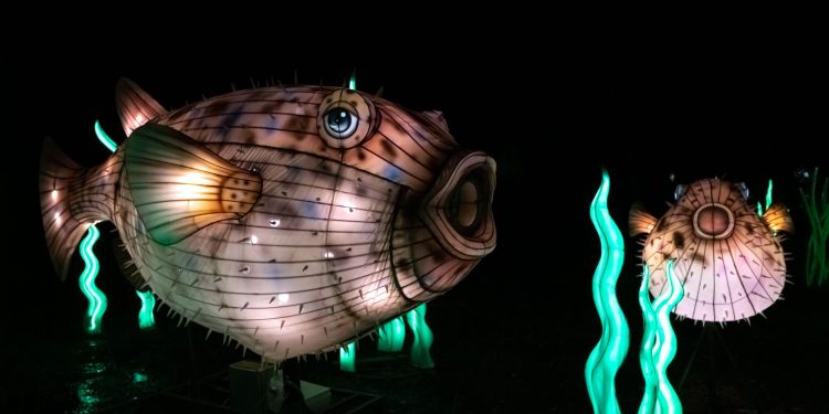 Creaturi oceanice dezvoltă mecanisme surprinzătoare pentru a rezista perioade lungi fără hrană