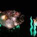 Creaturi oceanice dezvoltă mecanisme surprinzătoare pentru a rezista perioade lungi fără hrană
