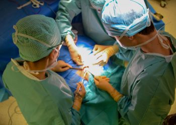 Norvegia: creștere rapidă a potențialilor donatori după includerea prințesei pe lista de așteptare
