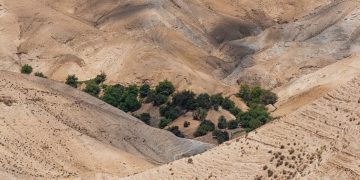 Liderul Hezbollah respinge acordul Liban-Israel ca fiind nul și neavenit