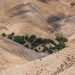 Liderul Hezbollah respinge acordul Liban-Israel ca fiind nul și neavenit