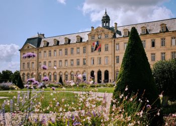 Firmele românești au termen de actualizare CAEN la Rev. 3 până în septembrie 2026