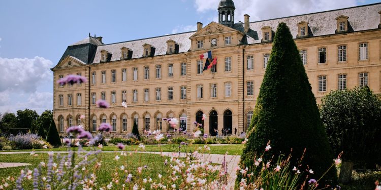 Firmele românești au termen de actualizare CAEN la Rev. 3 până în septembrie 2026