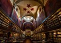 Dua Lipa deschide în Porto o bibliotecă pentru cărți interzise și cenzurate