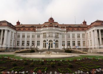PNL insistă asupra lui Adrian Veștea, lansează avertismente și cer demisia parlamentarilor vizibili